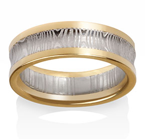 The Aries Ring